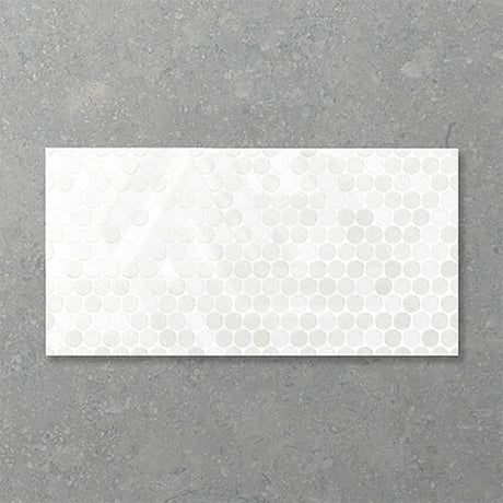 Folio Polka 300x600mm Gloss Tile 8 Colors Available