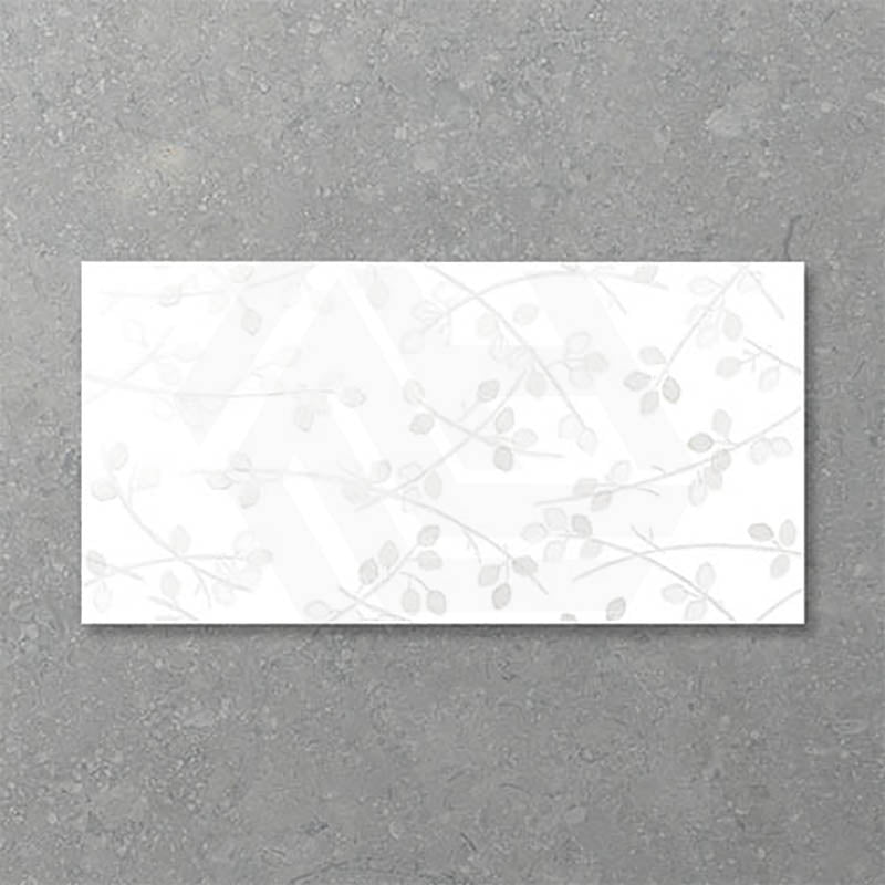 Folio Young Birch 300x600mm Gloss Tile 8 Colors Available