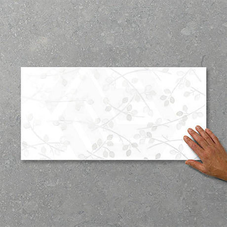 Folio Young Birch 300x600mm Gloss Tile 8 Colors Available