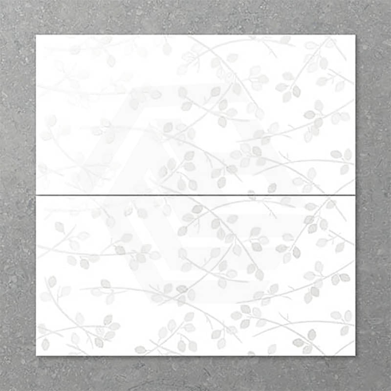 Folio Young Birch 300x600mm Gloss Tile 8 Colors Available
