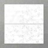 Folio Young Birch 300x600mm Gloss Tile 8 Colors Available