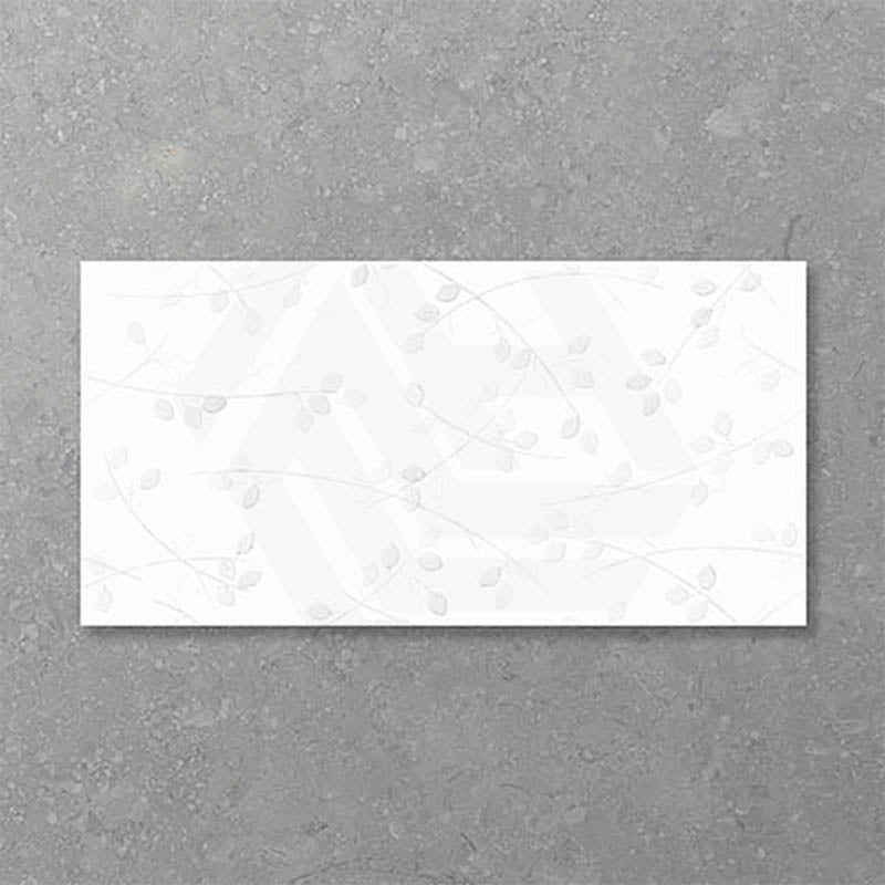 Folio Young Birch 300x600mm Satin Matt Tile 8 Colors Available