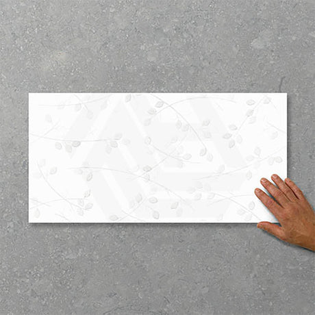 Folio Young Birch 300x600mm Satin Matt Tile 8 Colors Available