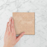 Tetra Fusion 130x130mm Gloss Tile 20 Colors Available