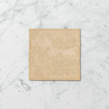 Tetra Fusion 130x130mm Gloss Tile 20 Colors Available