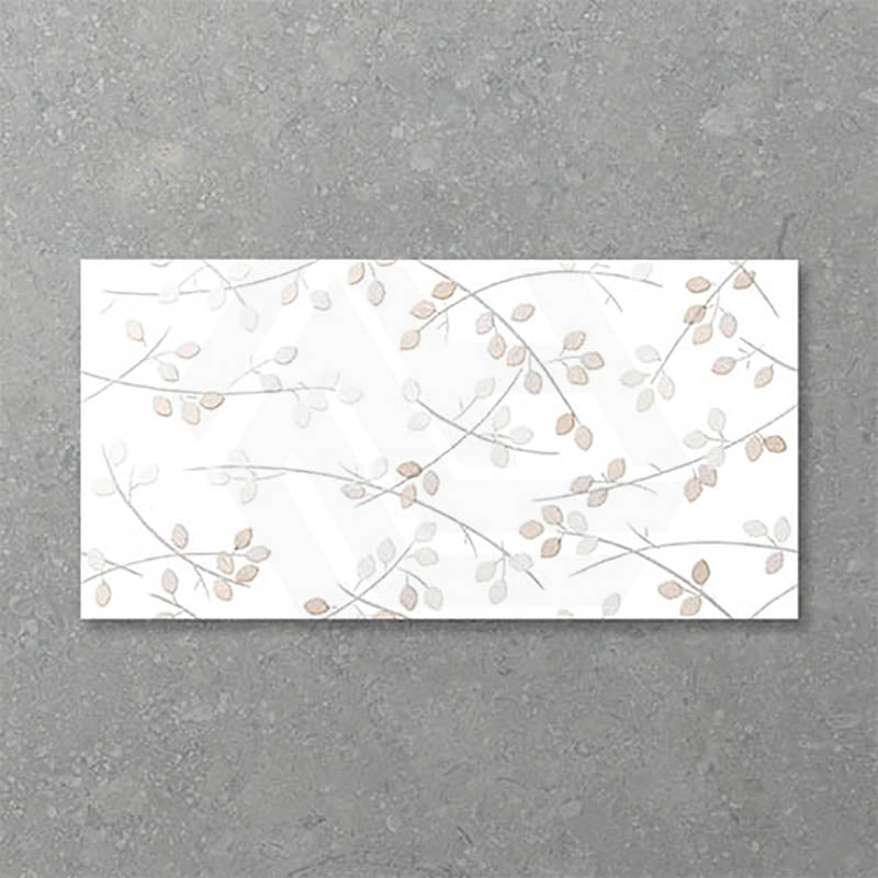 Folio Young Birch 300x600mm Gloss Tile 8 Colors Available