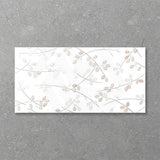 Folio Young Birch 300x600mm Gloss Tile 8 Colors Available