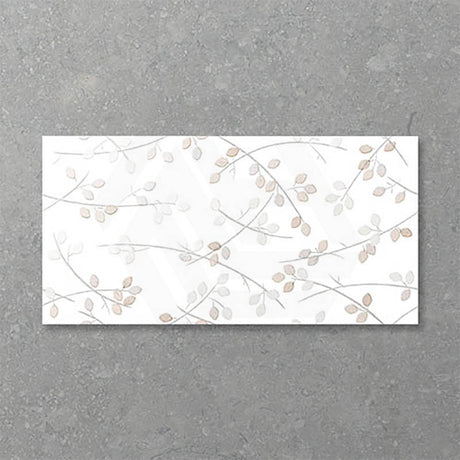 Folio Young Birch 300x600mm Gloss Tile 8 Colors Available