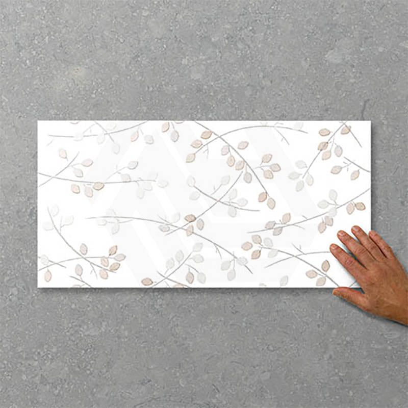 Folio Young Birch 300x600mm Gloss Tile 8 Colors Available