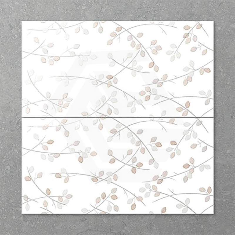 Folio Young Birch 300x600mm Gloss Tile 8 Colors Available