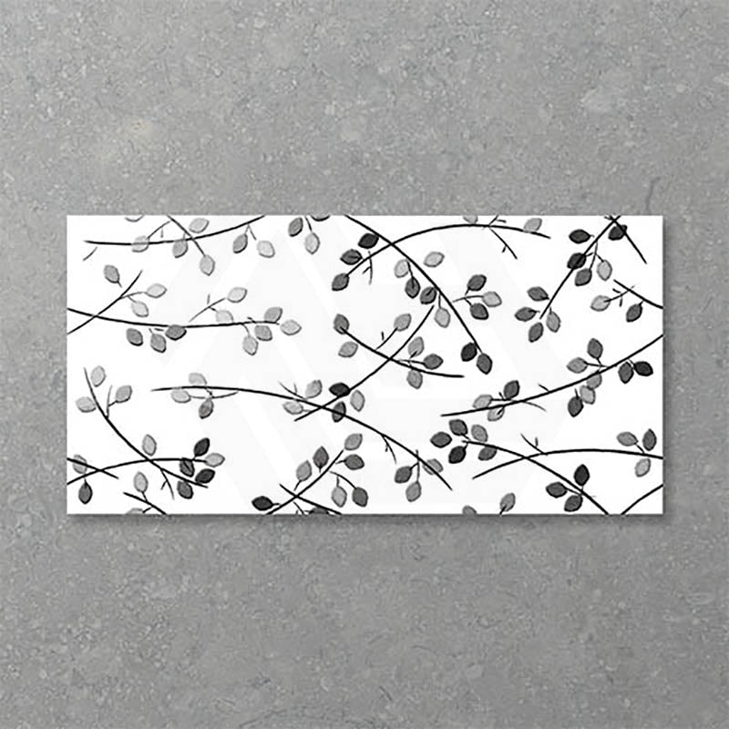 Folio Young Birch 300x600mm Gloss Tile 8 Colors Available
