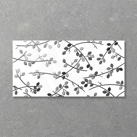 Folio Young Birch 300x600mm Gloss Tile 8 Colors Available