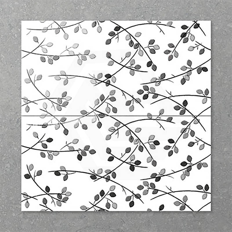 Folio Young Birch 300x600mm Gloss Tile 8 Colors Available