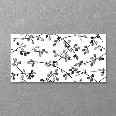 Folio Young Birch 300x600mm Satin Matt Tile 8 Colors Available