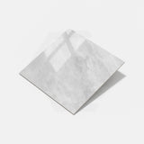 Cloud Light Grey Polished Marble Look 300/600/1200mm Tile
