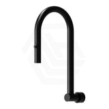 Stainless Steel Retractable Swivel Wall Spout Matt Black