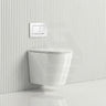 ZARA Rimless Wall Hung Toilet Suite 515x360x350mm - Gloss White