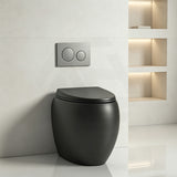 RAK CLOUD Rimless Wall Faced Toilet Pan with Geberit Frameless Inwall Concealed Cistern Sigma8 Push Button - Variant Colour