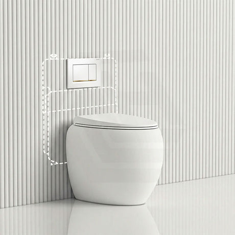 RAK CLOUD Rimless Wall Faced Toilet Pan with Geberit Frameless Inwall Concealed Cistern Sigma8 Push Button - Variant Colour