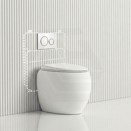 RAK CLOUD Rimless Wall Faced Toilet Pan with Geberit Frameless Inwall Concealed Cistern Sigma8 Push Button - Variant Colour