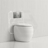 RAK CLOUD Rimless Wall Faced Toilet Pan with Geberit Frameless Inwall Concealed Cistern Sigma8 Push Button - Variant Colour