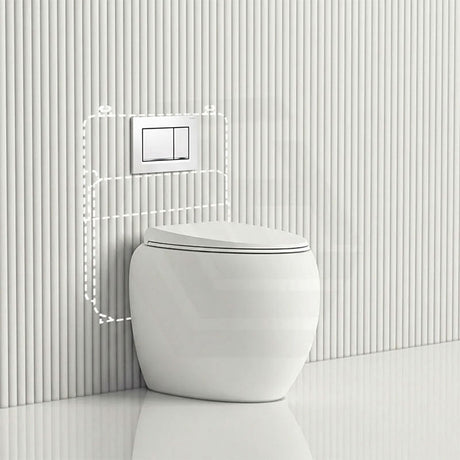 RAK CLOUD Rimless Wall Faced Toilet Pan with Geberit Frameless Inwall Concealed Cistern Sigma8 Push Button - Variant Colour