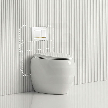 RAK CLOUD Rimless Wall Faced Toilet Pan with Geberit Frameless Inwall Concealed Cistern Sigma8 Push Button - Variant Colour