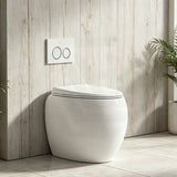 RAK CLOUD Rimless Wall Faced Toilet Pan with Geberit Frameless Inwall Concealed Cistern Sigma8 Push Button - Variant Colour