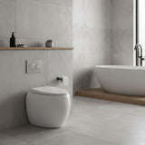 RAK CLOUD Rimless Wall Faced Toilet Pan with Geberit Frameless Inwall Concealed Cistern Sigma8 Push Button - Variant Colour