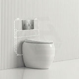 RAK CLOUD Rimless Wall Faced Toilet Pan with Geberit Frameless Inwall Concealed Cistern Sigma8 Push Button - Variant Colour