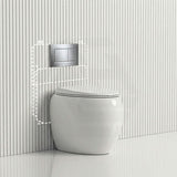 RAK CLOUD Rimless Wall Faced Toilet Pan with Geberit Frameless Inwall Concealed Cistern Sigma8 Push Button - Variant Colour