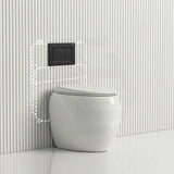 RAK CLOUD Rimless Wall Faced Toilet Pan with Geberit Frameless Inwall Concealed Cistern Sigma8 Push Button - Variant Colour
