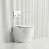 Geberit Sigma8 Inwall Concealed Cistern and Tornado Rimless Wall Faced Toilet Pan with Push Button SET 400x570x360mm
