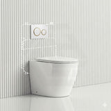 Geberit Sigma8 Inwall Concealed Cistern and Tornado Rimless Wall Faced Toilet Pan with Push Button SET 400x570x360mm