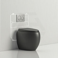 #Matt Black RAK CLOUD Rimless Wall Faced Toilet Pan Variant Colour with Geberit Frameless Inwall Concealed Cistern Sigma8 Push Button Available