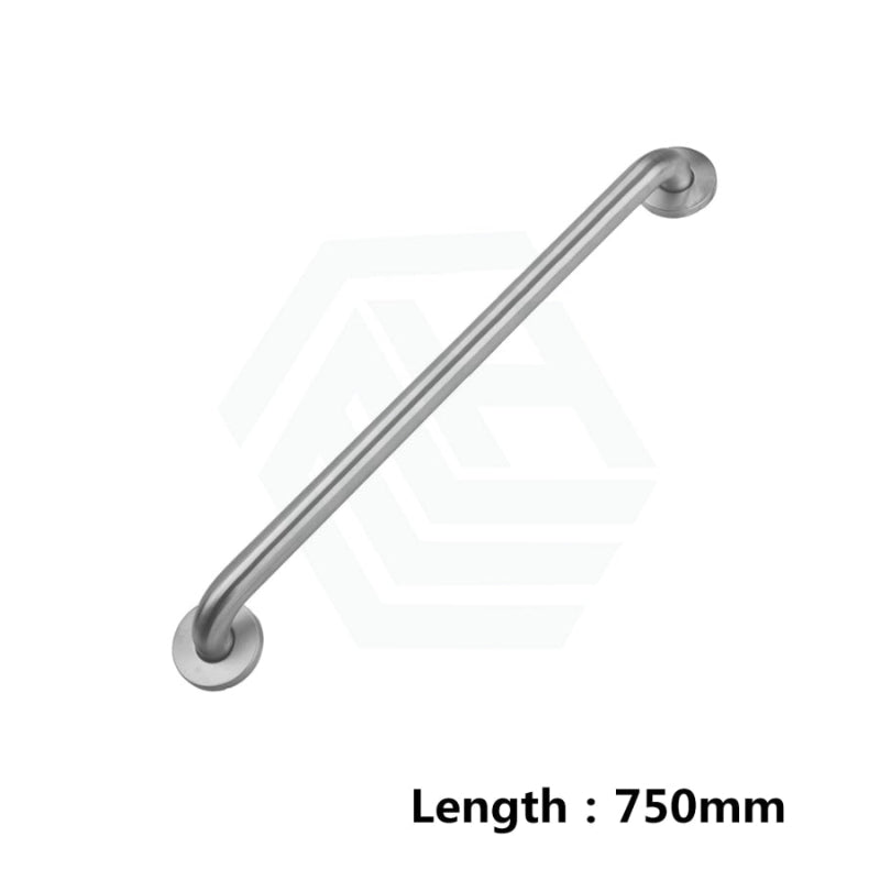 Special Care Accessible Handheld Shower Kit Only 500 To 1500mm Grab Rails Available 750mm Straight