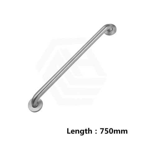 Special Care Accessible Handheld Shower Kit Only 500 To 1500mm Grab Rails Available 750mm Straight