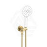 Norico Pentro Round Brass Shower Holder with Wall Connector & 1.5m Hose Variant Colour Available