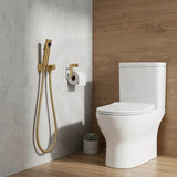 Bathroom Toilet Bidet Spray Kit 1.2m Stainless Steel Water Hose - Variant Colour Available