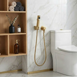 Bathroom Toilet Bidet Spray Kit 1.2m Stainless Steel Water Hose - Variant Colour Available