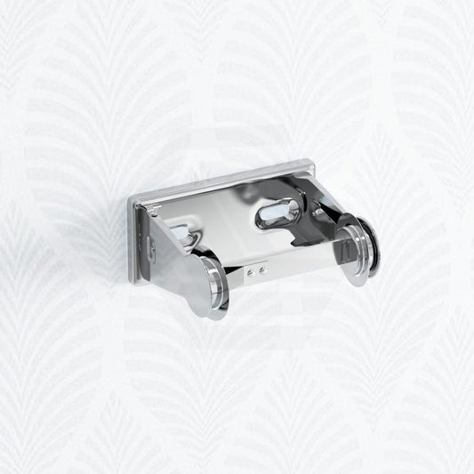 Stainless Steel Vandal Resistant Locking Mechanism Toilet Paper Dispenser
