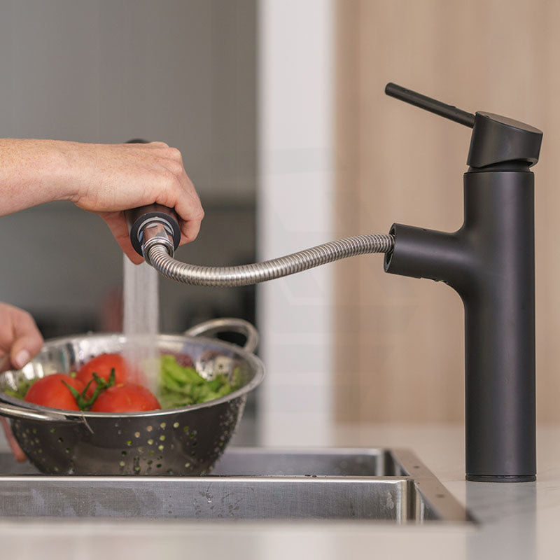 Taqua T-5 Pull-Out Mixer Tap With Built-In Filter Matt Black Taps