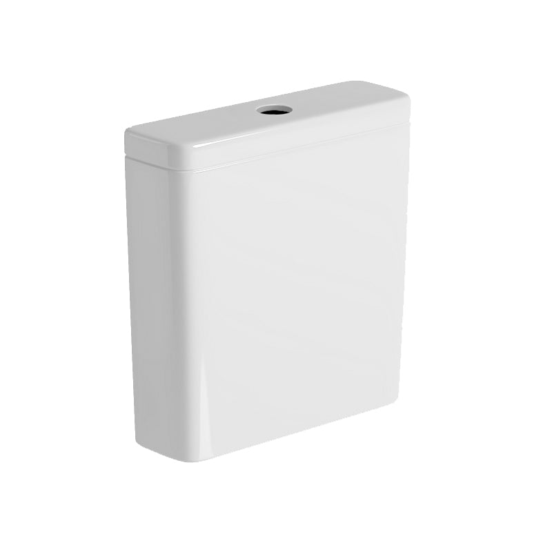 Toilet Cistern Shell Only For Ts2131 Accessories