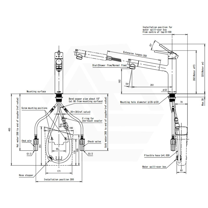 Taqua T-5 Pull-Out Mixer Tap with Built-in Filter Variant Colour Available