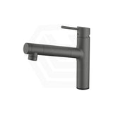 Taqua T-5 Pull-Out Mixer Tap with Built-in Filter Variant Colour Available