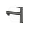 Taqua T-5 Pull-Out Mixer Tap with Built-in Filter Variant Colour Available