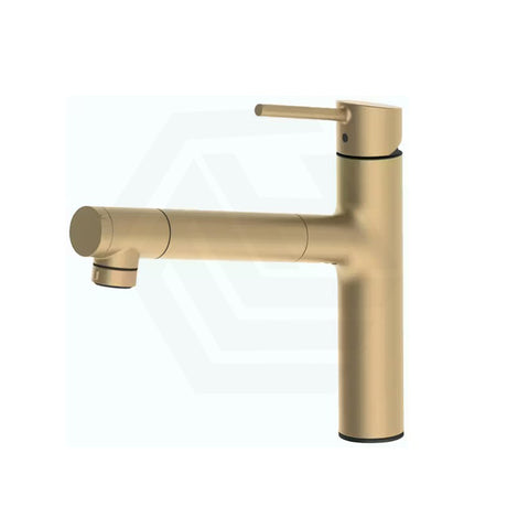 Taqua T-5 Pull-Out Mixer Tap with Built-in Filter Variant Colour Available