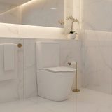Rimless Back to Wall Toilet Suite 620x370x820mm - Gloss White