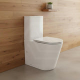 Rimless Back to Wall Toilet Suite 620x370x820mm - Gloss White