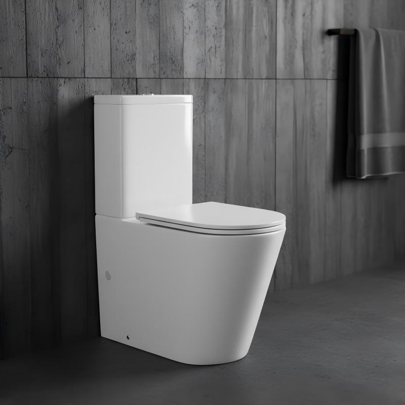 Rimless Back to Wall Toilet Suite 620x370x820mm - Gloss White
